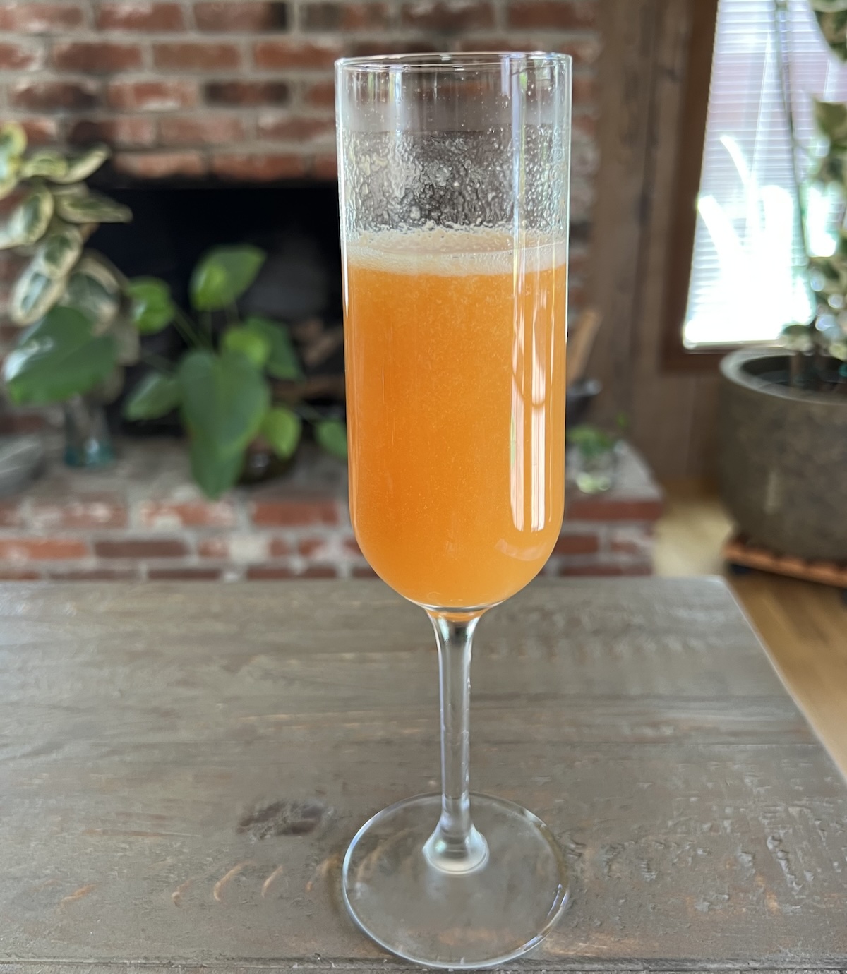 bellini
