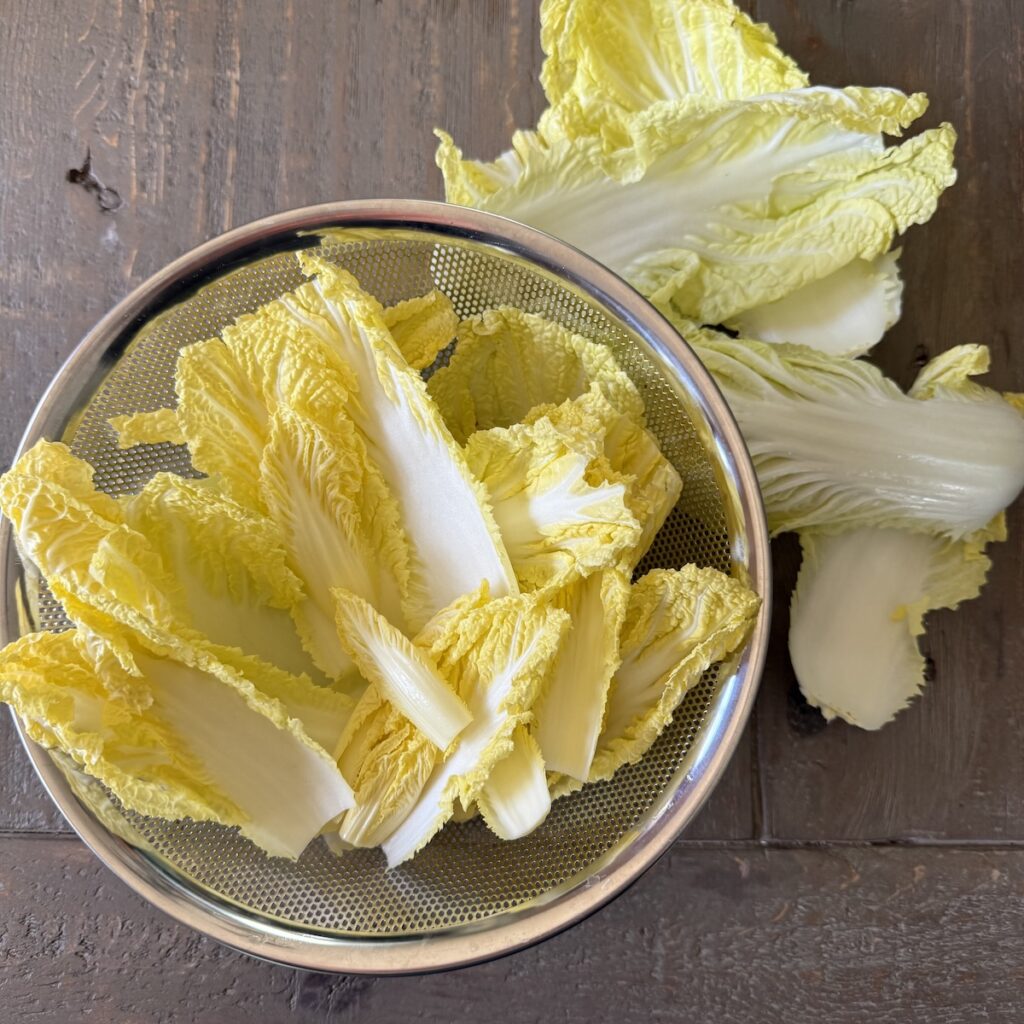 napa cabbage