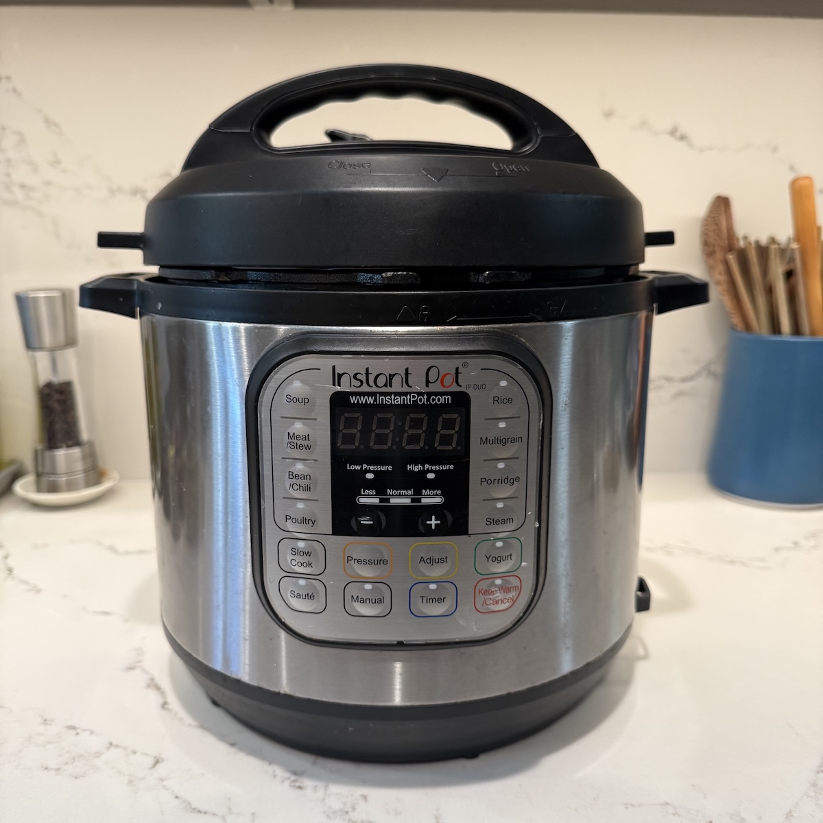 instant pot the old one